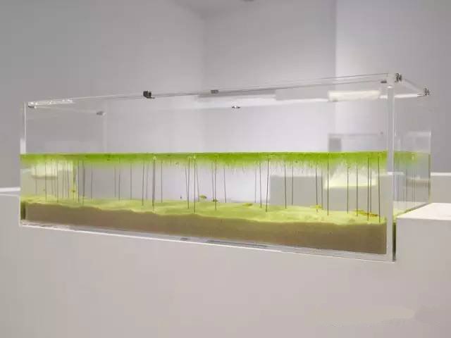 精美3d打印創(chuàng)意作品圖片欣賞 你見(jiàn)過(guò)3D打印的魚(yú)缸么?