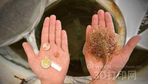 近期這四大3D打印產業驚人的成果有望改變你的生活.jpg 近期這四大3D打印產業驚人的成果有望改變你的生活.jpg