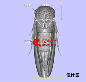 3D打印生物標本4